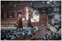 Nepal Gallery